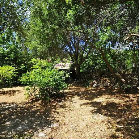Hébergement de vacances Residenza I Melograni Porto Ottiolu